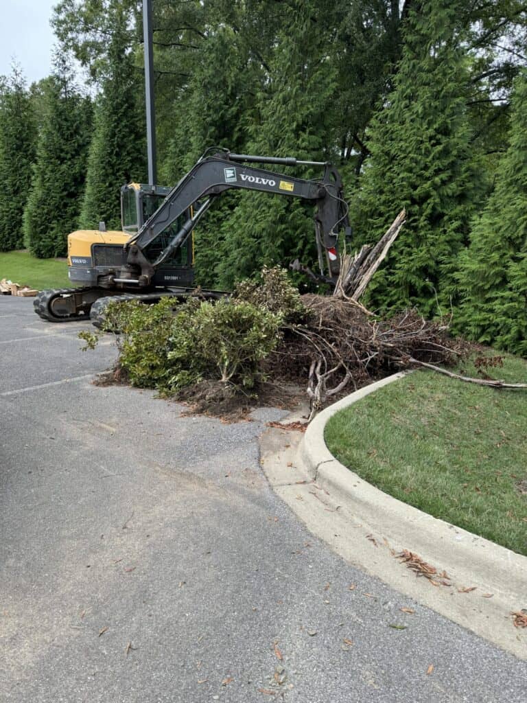 Excavator clearing dead vegetation in Birmingham, Alabama.