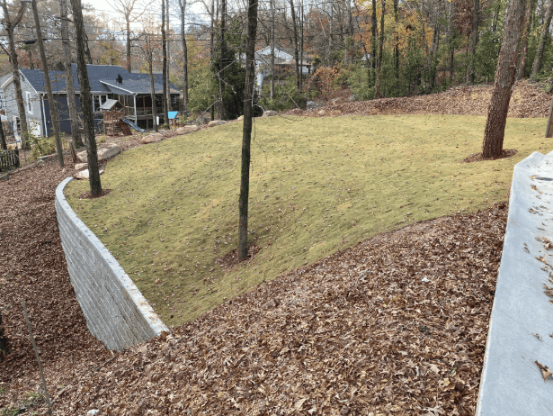 Lawn and landscape in a wooded area near Birmingham.